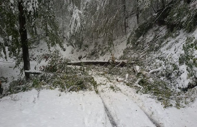 NP Biogradska gora danas i sjutra zatvoren za posjete