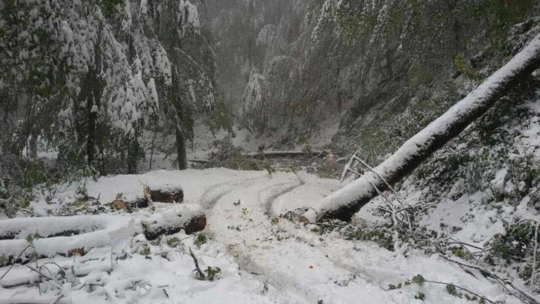 2232342310208105923164327920505527n