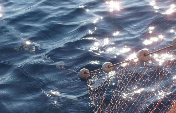 Oštrije kazne: Krivolovcima će oduzimati i vezove za barke