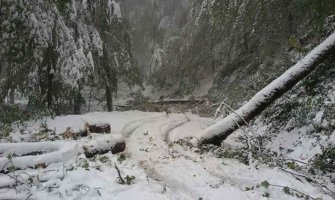 Raščišćen prilazni put do Biogradskog jezera