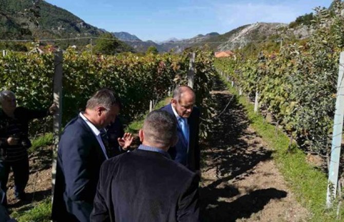 Simović: Poljoprivrednici prepoznaju da je njihovo najmoćnije oružje kvalitet