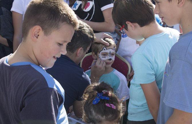 Udomljeno devet kuca i maca