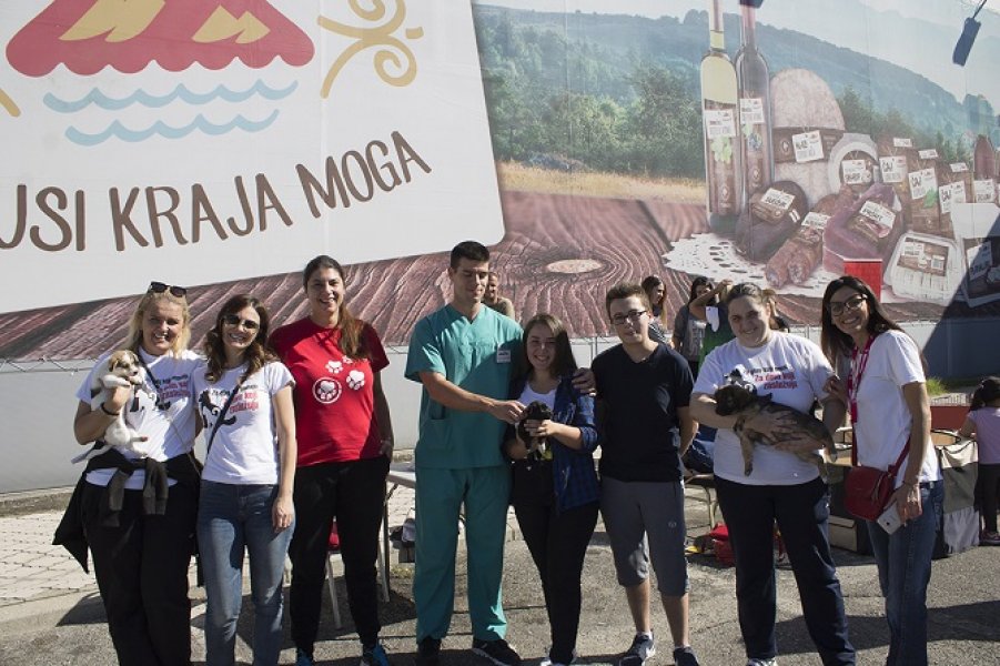 UdomljavanjezivotinjaIDEA5