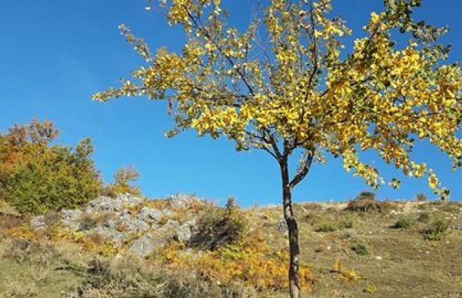 Danas sunčano, razvoj oblačnosti tokom dana