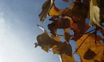 Danas sunčano, do 25 stepeni