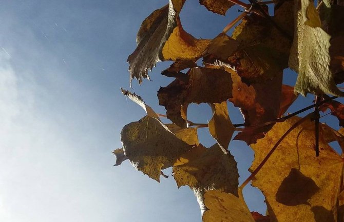 Danas sunčano, do 25 stepeni