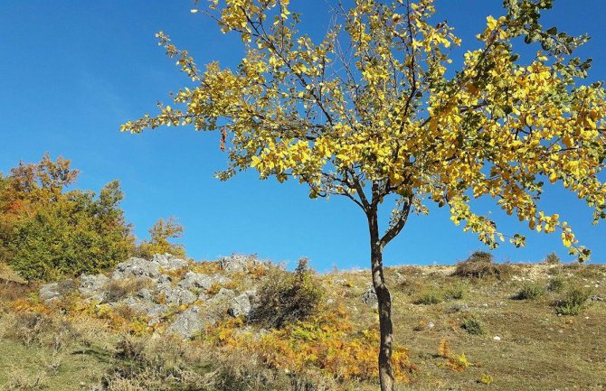 Danas razvedravanje, do 22 stepena