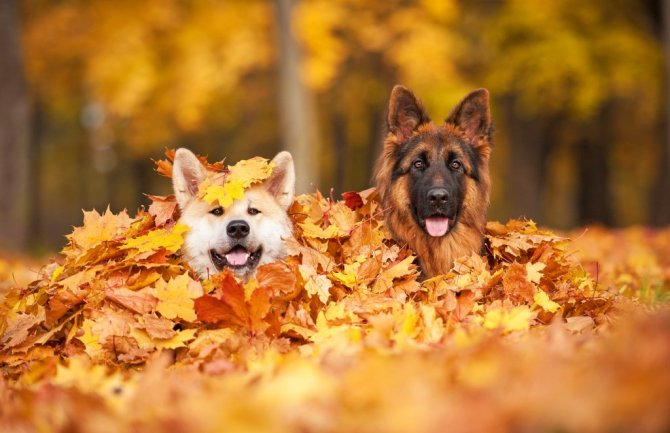 Sunčano i toplo za ovo doba godine