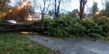 Nevrijeme u Srbiji: Vjetar nosio sve pred sobom, čupao drveće (FOTO/VIDEO)