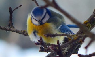 Pretežno sunčano, do 19 stepeni