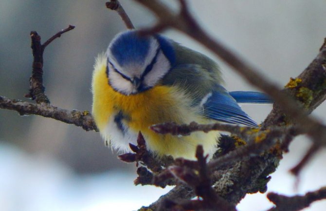 Pretežno sunčano, do 19 stepeni