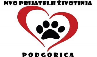 U svim opštinama sagraditi skloništa za napuštene životinje
