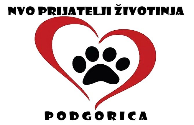 U svim opštinama sagraditi skloništa za napuštene životinje