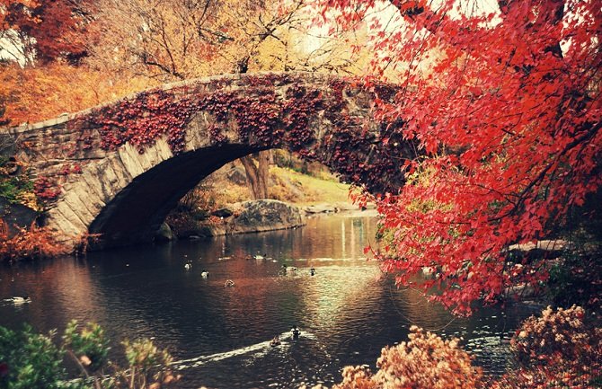 Danas uglavnom suvo, do 19 stepeni