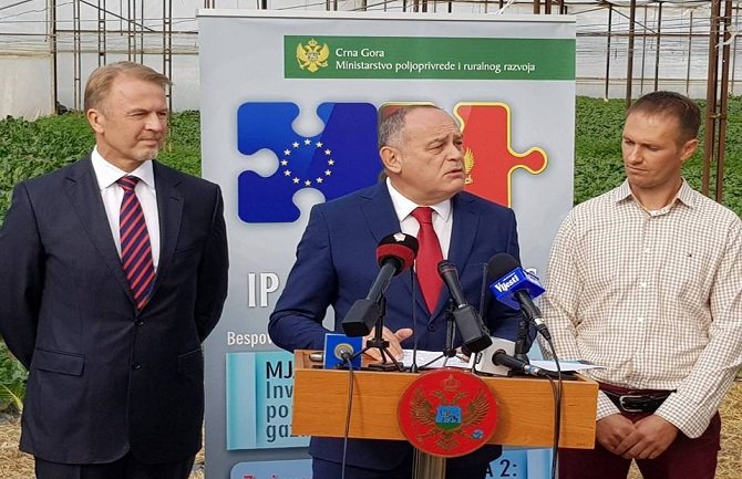 Poljoprivrednicima na raspolaganju 39 miliona eura podrške EU