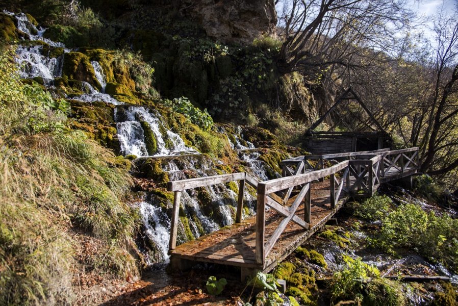 2017111122681576227718168Web