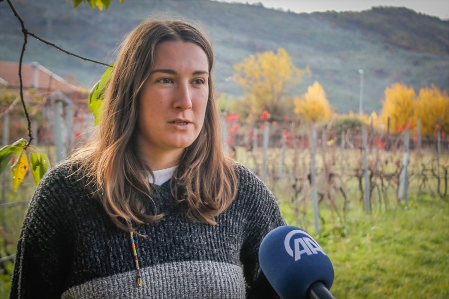 2017111222682795027745969Web