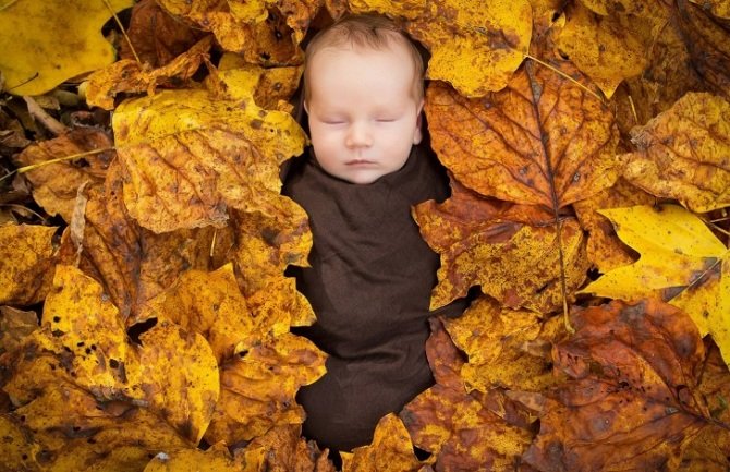 Mališani rođeni u novembru su posebni, a evo i zbog čega