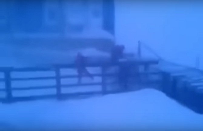 Da li je minus 50 previše hladno za školu? (VIDEO)