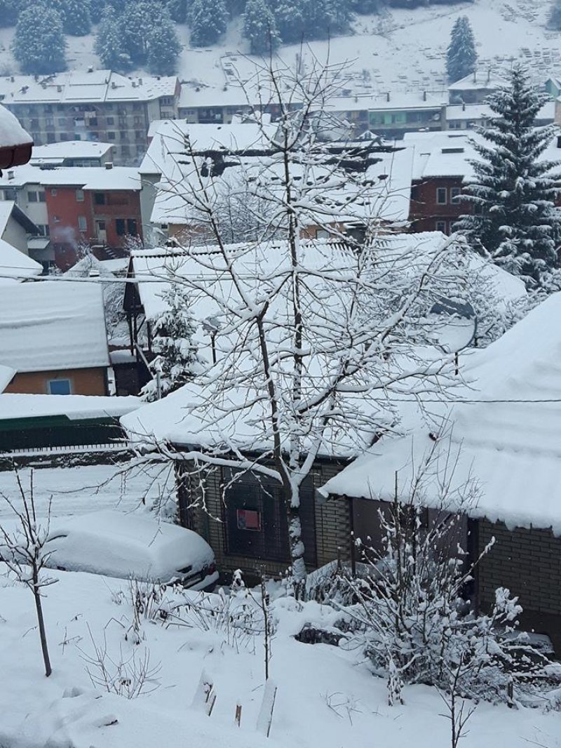 2429636317590738343970442686859638671679883n