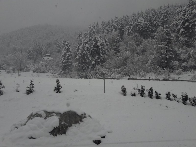 24282417102153438115364661159358615n