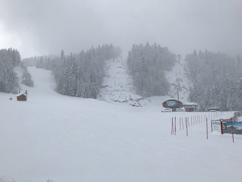 24176980101559460662671402130578303533256048n