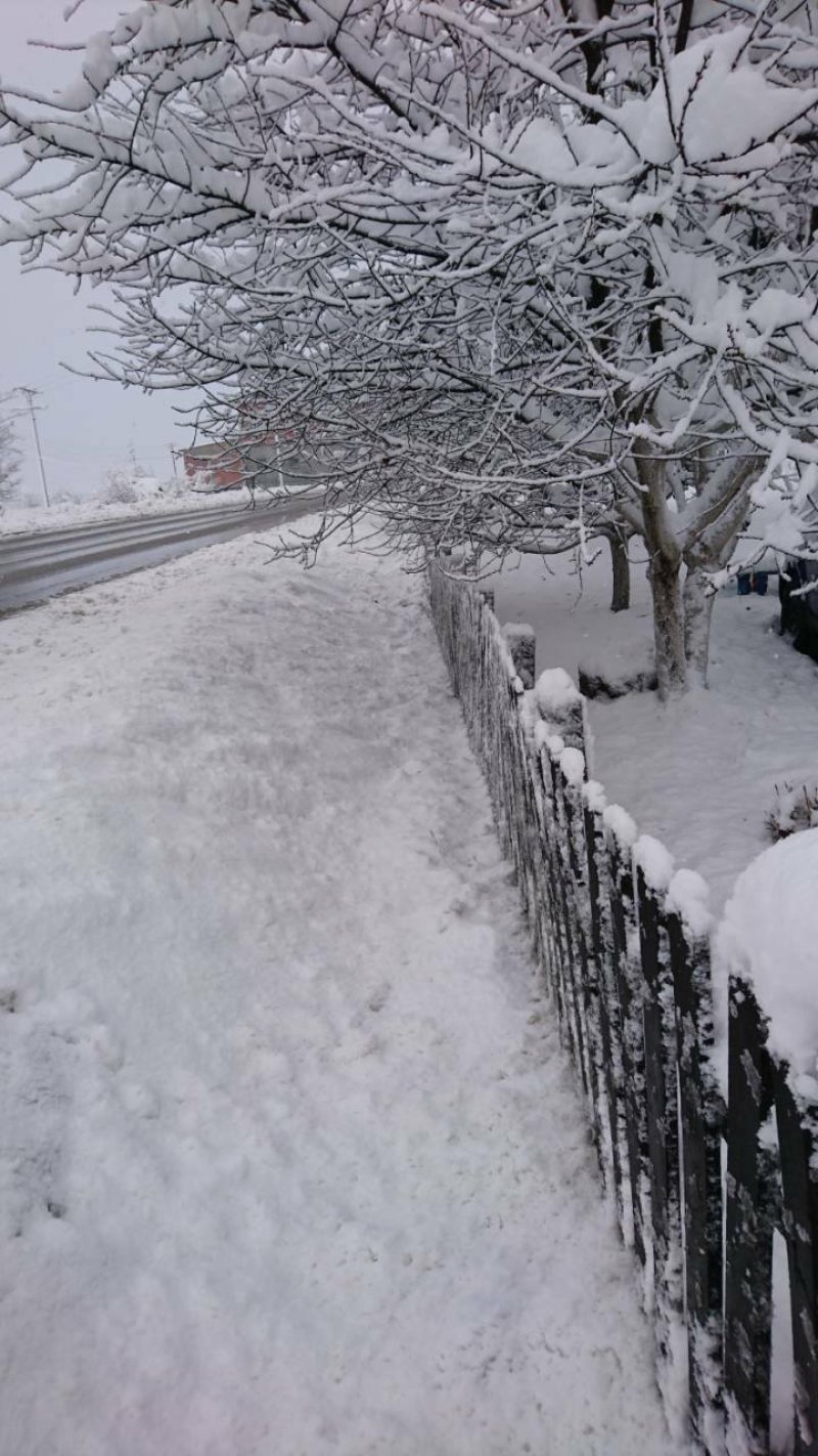 2447495210208411785850703632920858o