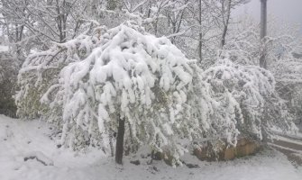 Upozorenje Ministarstva poljoprivrede proizvođačima povodom najavljenog nevremena