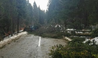 Nevrijeme u BIH: Vjetar čupao stabla, nosio krovove, brojna mjesta bez struje