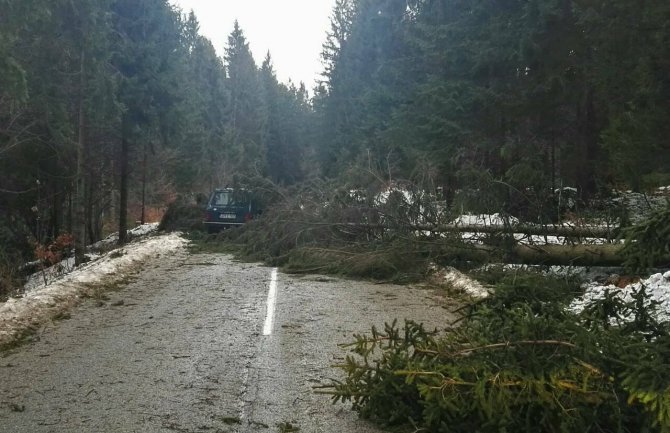 Nevrijeme u BIH: Vjetar čupao stabla, nosio krovove, brojna mjesta bez struje