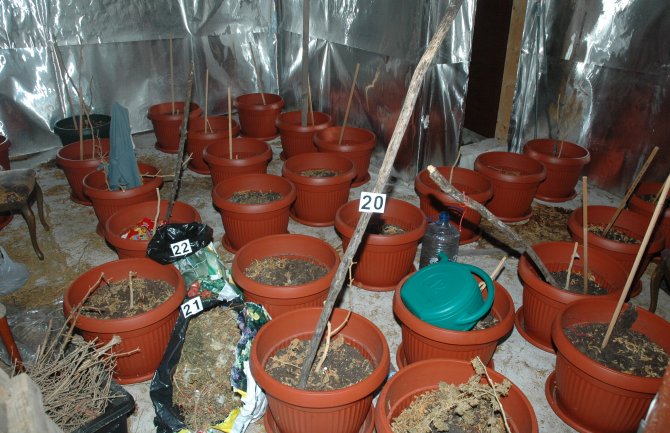 Na Cetinju otkrivena laboratorija za proizvodnju marihuane (FOTO)