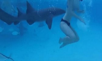 Kad se medeni mjesec pretvori u horor (VIDEO)