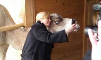 Predsjednica Hrvatske napravila selfi u štali