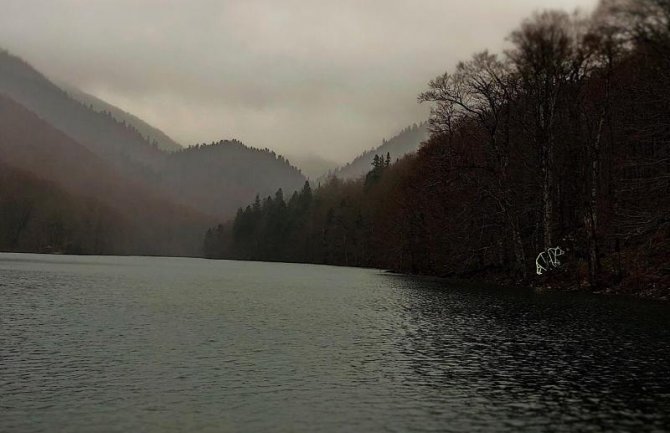 Svjetleći medvjed na Biogradskoj gori (FOTO)