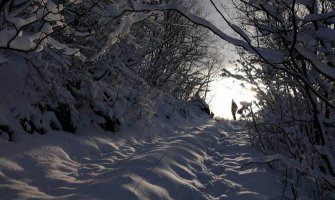Zabijeljelo i na primorju (FOTO)