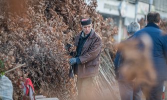 Počela prodaja badnjaka u Podgorici: Vjernici daju koliko mogu(FOTO)