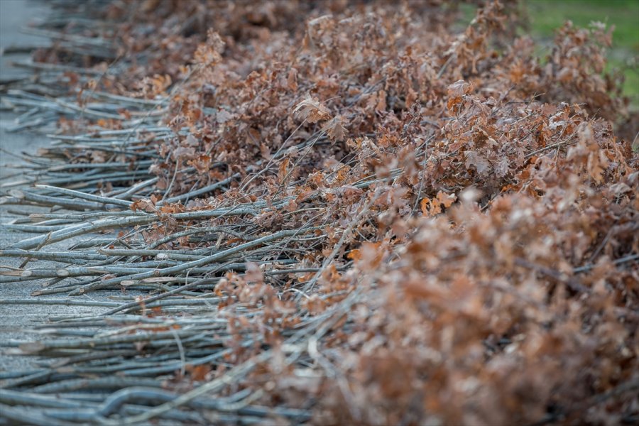 2018010522792498029492155Web