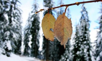 Sunčano, na sjeveru magla, do 17 stepeni