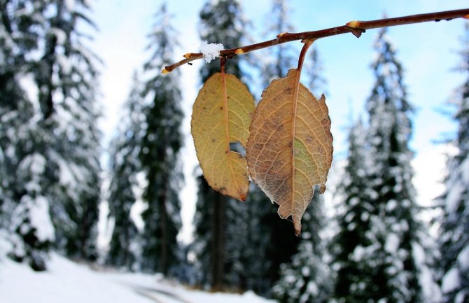 Sunčano, na sjeveru magla, do 17 stepeni