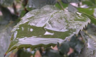 Oblačno od sredine dana kiša