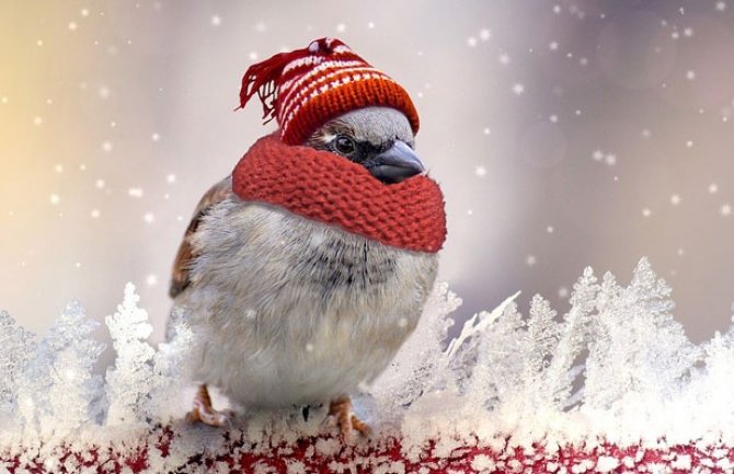 Sunčano, do 14 stepeni