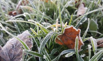 Pretežno sunčano, do 14 stepeni