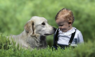 Saznajte da li pas može da vas zarazi virusom gripa