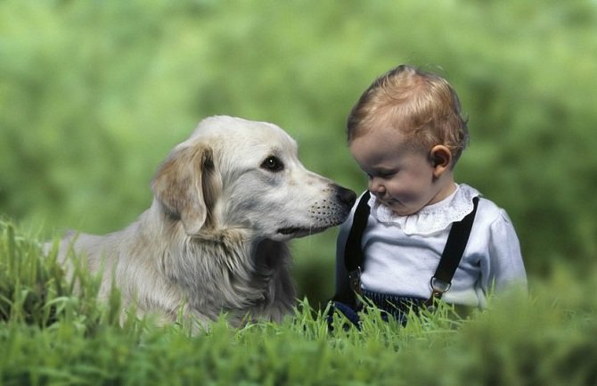 Saznajte da li pas može da vas zarazi virusom gripa