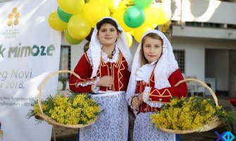 Otvorena 43. Izložba cvijeća: Senzibilitet, sloboda i otmenost mimoze 