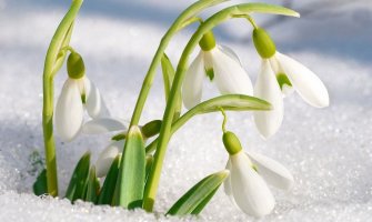 Evo kakvo nas vrijeme očekuje za vikend 