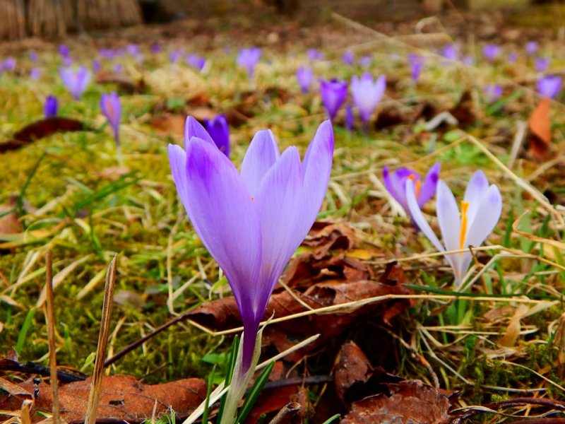 2846808817135172420518107660568800404640600n