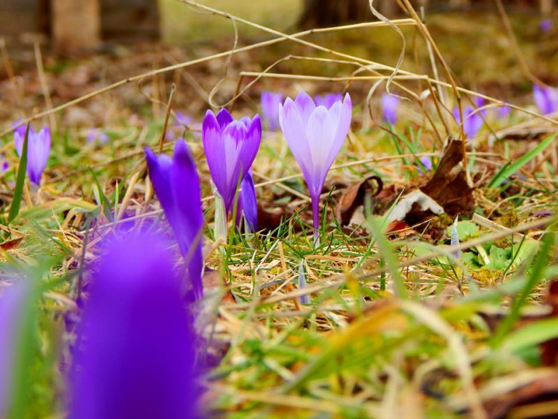 2827897517135171553851526522357901345844816n