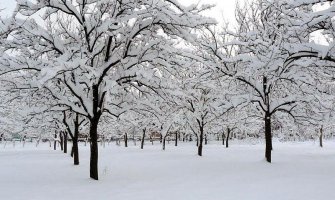 Upozorenje poljoprivrednicima povodom najavljenog nevremena: Reagujte preventivno
