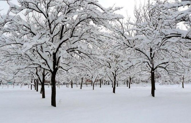 Upozorenje poljoprivrednicima povodom najavljenog nevremena: Reagujte preventivno